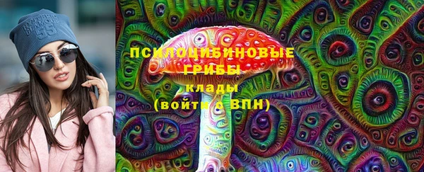 молекула духа Алексеевка