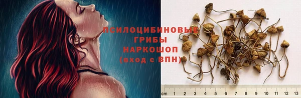 молекула духа Алексеевка